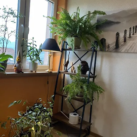 Harmony 3* Bešeňová