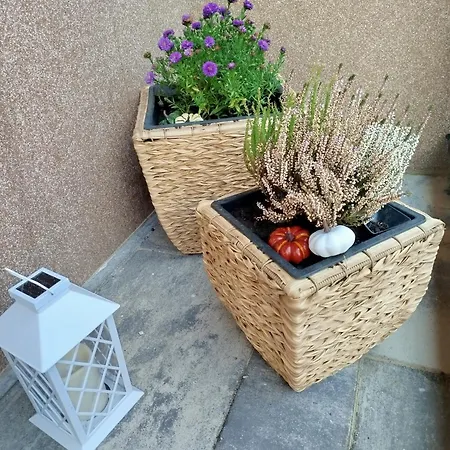 Bed & Breakfast Harmony Besenova